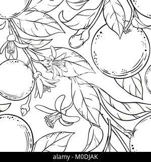orange branches seamless pattern on white background Stock Vector