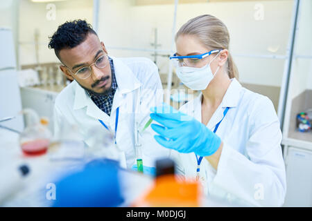 Research Technicians Working in Laboratory Stock Photo