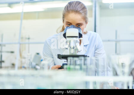 Female Scientist Using Microscope in Laboratory Stock Photo