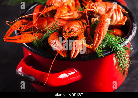 Boiled lobster close-up Stock Photo