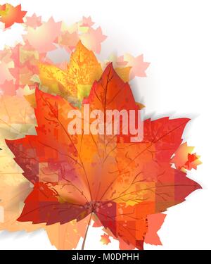 Autumn leafs on the white backgroun with copyspace. Vector eps10 illustration. Stock Vector
