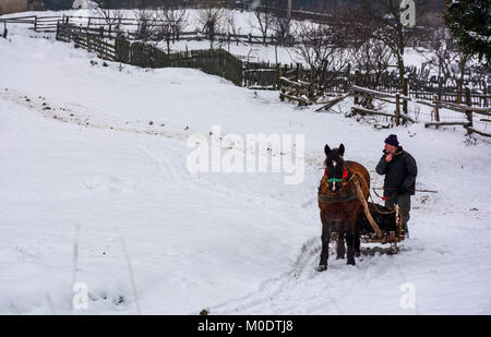 Volovets, Ukraine - December 12, 2016: transportation of manure in winter. man riding a horse sledge on snowy road along the wooden fence Stock Photo