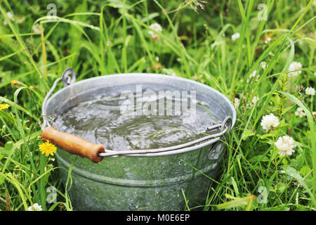 Bucket with rain water in the high grass Stock Photo