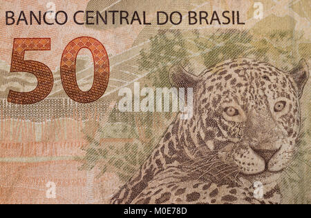 50 (fifty) Brazilian Real note closeup macro, showing Jaguar animal, bill value and Central bank of brazil phrase Stock Photo