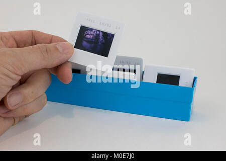 35mm colour slides in storage box as used in old film camera. Dated 2002 Stock Photo