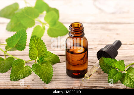 lemon balm essential oil in the bottle, on the wooden board Stock Photo