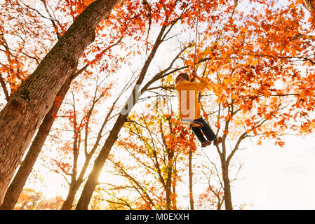 Low angle view of a boy on a rope swing in the garden Stock Photo