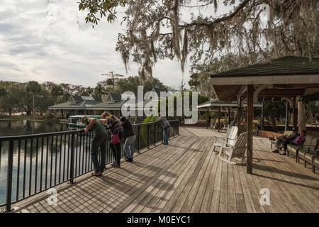 Silver Springs Ocala, Florida State Park USA Stock Photo