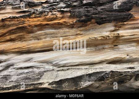 Bundeena - natural sandstone formations in Royal National Park, New South Wales, Australia Stock Photo