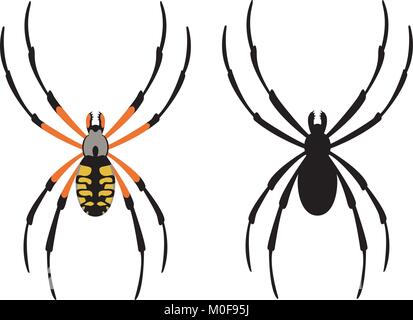 spider  vector illustration  black silhouette  flat style  front  side Stock Vector