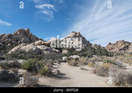 landscape on The Hidden Valley Trail in Joshua Tree National Park showing desert grasses and rock piles with a bright blue sky Stock Photo