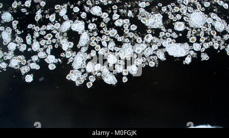 Ice swims in the river. Winter landscape photographed from above. Top view. Nature and abstract background. Stock Photo