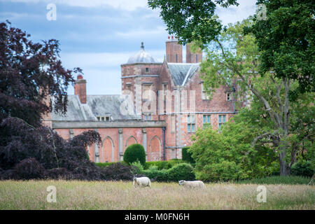 Sheep roam in grassy field in front of historic Kiplin Hall,  Scorton, Richmond, North Yorkshire Stock Photo