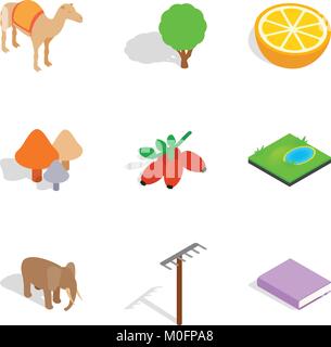 Animate icons set, isometric style Stock Vector