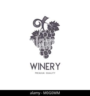 Wine, winery logo template. Drink, alcoholic logotype, beverage symbol, monogram. Vine icon and typography. Winery, premium quality sign. Stock vector illustration isolated on white background Stock Vector