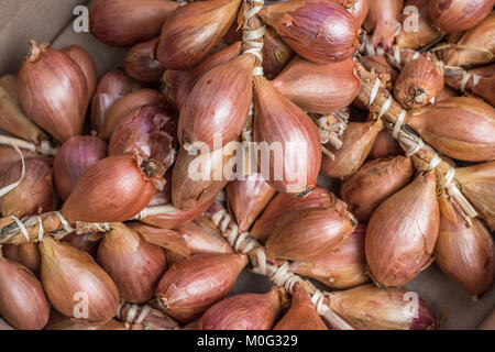 fresh shallots at farmers market Stock Photo