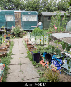 Market Garden, Cornwall, England, UK in Summer Stock Photo