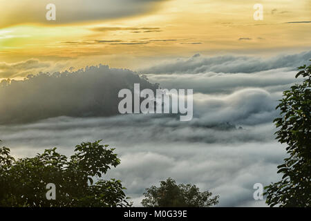 Atmospheric sunrise over primary rainforest canopy, Danum Valley, Borneo, Sabah, Malaysia Stock Photo
