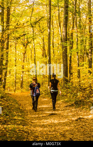 Talcott Mountain State Park   Simsbury, Connecticut, USA Stock Photo