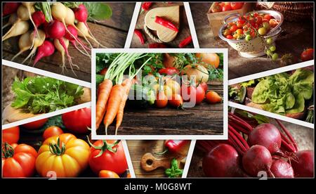 Collage of vegetables - products of vegetable garden. Healthy eating consept. Gardening background Stock Photo