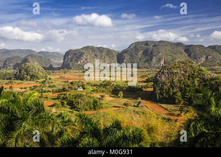 Mogote landscape in Vinales Valley, Cuba