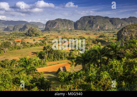 Mogote landscape in Vinales Valley, Cuba Stock Photo