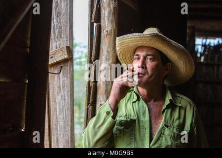 Tobacco farmer in Vinales Valley, Cuba Stock Photo