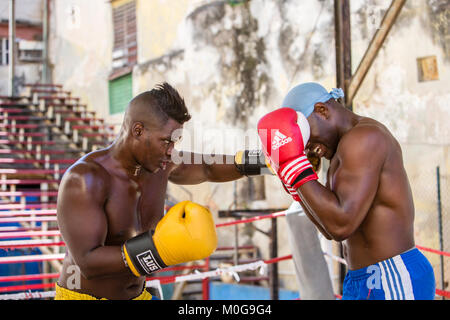 Boxers training at  Rafael Trejo Boxing Gym in Havana, Cuba Stock Photo