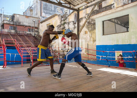 Boxers training at  Rafael Trejo Boxing Gym in Havana, Cuba Stock Photo