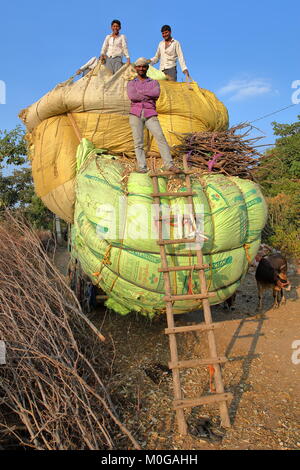 CHITTORGARH, RAJASTHAN, INDIA - DECEMBER 13, 2017: Farmers loading corn stover on a truck in the countryside around Chittorgarh Stock Photo