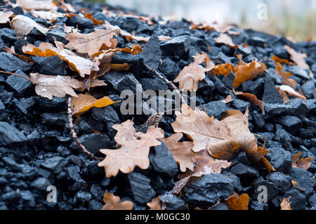yellow leaves fallen from the trees on a pile of coal, black coal Stock Photo