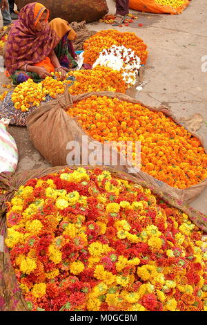 JAIPUR, RAJASTHAN, INDIA - DECEMBER 06, 2017: The flower market near City Palace with an Indian woman dressed in Sari Stock Photo