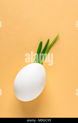 Egg shell and feathers green onion imitation sprout, leaves pineapple fruit, Iroquois hair hairstyle on face, on beige colored background paper. Food  Stock Photo