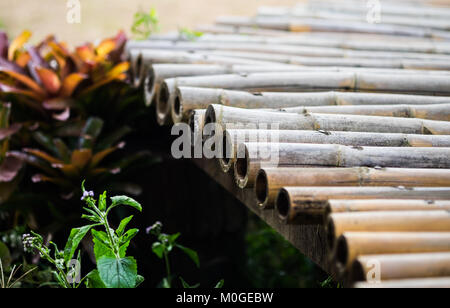 A part of a bamboo walkway across a small canal in a fertile rice field in close up view, selective focus. Stock Photo