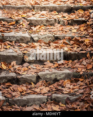 Beautiful orange autumnal leaves on stairs.Seasonal Concepy. Stock Photo