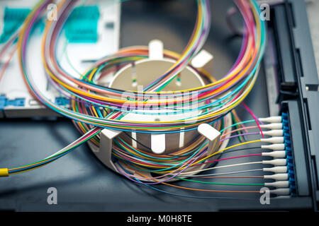 Fibre optic patch distribution panel shelf for enterprise networking Stock Photo