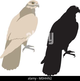 eagle  black silhouettevector illustration flat style profile side Stock Vector