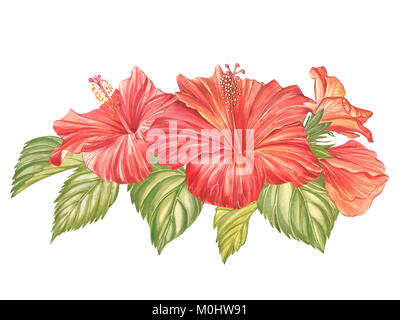 Free: Pink and red Hibiscus flowers illustration, Hibiscus Flower Drawing  Watercolor painting, Watercolor flowers transparent background PNG clipart  - nohat.cc
