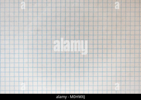 Sheet from school notebook in the cage Stock Photo