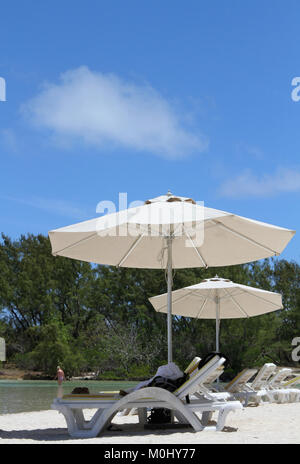 Umbrellas and loungers on a Beach near forest patch on The Ile Aux Cerfs, a privately owned island near the east coast of The Republic of Mauritius in Stock Photo
