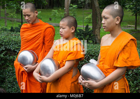 Asia,Thailand,Chiang Mai,buddhist monks Stock Photo