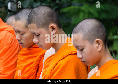 Asia,Thailand,Chiang Mai,buddhist monks Stock Photo