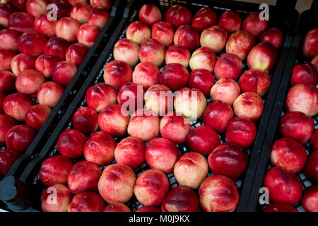 nectarines in the market Stock Photo
