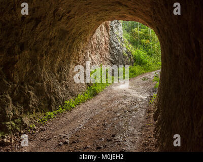 A forest road and a tunnel in the austrian Rettenbachtal, Salzkammergut Stock Photo