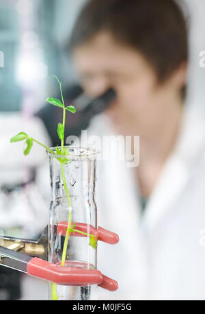 Experimental plant in a glass tube with a microscopist in lab coat on the background. Shallow DOF, focus on the tube with the plant. Space for your te Stock Photo