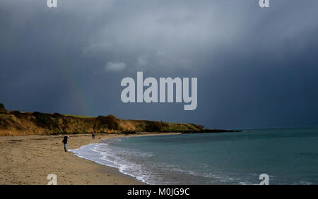 A tourist walks along Towan Beach, near Portscatho on the Roseland Peninsula, in Cornwall, Britain Stock Photo