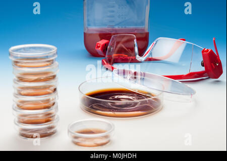 Bacterial plates, culture medium and plastic protective glasses on gblue gradient background Stock Photo