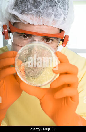 Microbiologist in protective gear picks up bacterial colonies Stock Photo