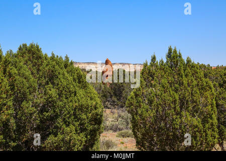 Sand Pipe among Utah Junipers in Kodachrome Basin State Park Stock Photo