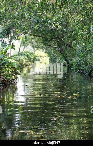 Kerala backwater, India Stock Photo